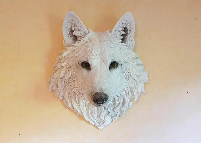 Haus Am Sonnberg Semesterbostad